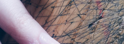 Идеальный уход за ногтями от LCN care boost nail wax