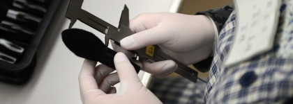 Знакомство с кистями Wayne Goss