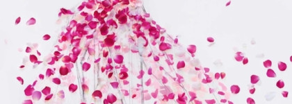 Miss Dior Rose N‘Roses как прекрасная современная Роза