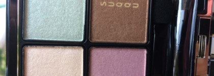 Тени для век Suqqu Designing Color Eyes 101 Sumizakurairo (Limited Edition)