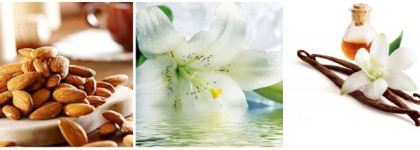 Арабские сказки: Montale Amandes Orientales EDP