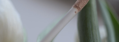 Весеннее обострение с консилерами Essence