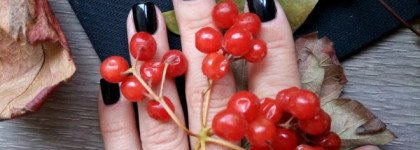 Загадочный  незнакомец  лак Chanel 538 Gris  Obscur