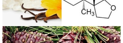 Mmm...Moschino Toy 2 Bubble Gum Eau de toilette