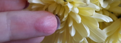 Не просто румяна Dior Rouge Blush 361 Rose Baiser (Поцелуй)