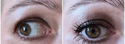 Дёшево не значит сердито: Тушь для ресниц Divage Venera Panoramic Mascara #01 панорамный объем чёрная