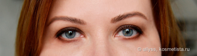 Матовые тени Rich Brown  и Slate Bobbi Brown, подойдут наверное всем