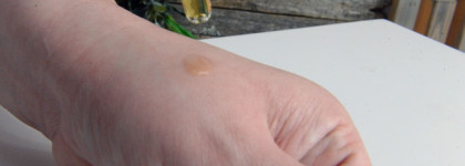 Летняя пара от SkinСeuticals - антиоксидантная сыворотка и и лучшая солнцезащита