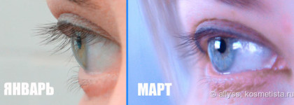 Безрезультатные Xlash и Xbrow от Almea