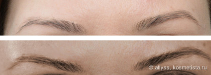 Безрезультатные Xlash и Xbrow от Almea