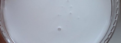 Если Япония, то Shu Uemura Art of Hair Ultimate reset shampoo