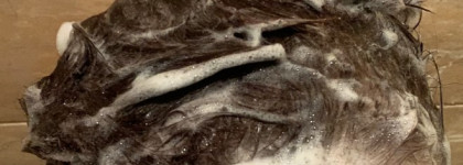 Viege Shampoo Lebel, пробуем работает ли анти-эйдж для волос