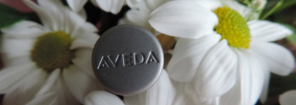 Aveda Nourish-mint Rehydrating lip glaze в оттенке 933 Rose Blush