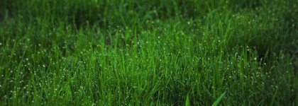 Красота в простоте. Пост о  Demeter Fragrance Library