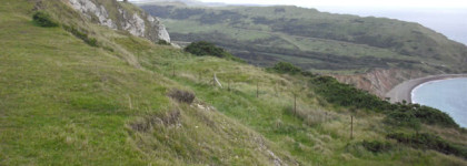 Необычные и непризнанные ароматы Lush