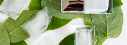 Dior Vernis 002 Optic White