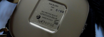 Dolce &Gabbana The Blush Luminous Cheek Colour # 22 Tan