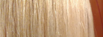 Взболтать, распылить. Преображение волос за минимум времени