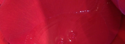 Matrix Oil Wonders Volume Rose