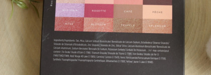 Viseart 12 Shade Professional Eye Shadow Palette Rosé Edit