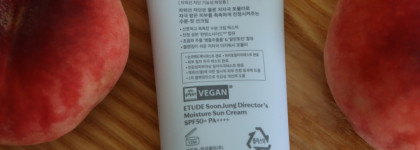 Etude Soonjung Director's Moisture Sun Cream
