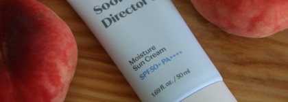 Etude Soonjung Director's Moisture Sun Cream