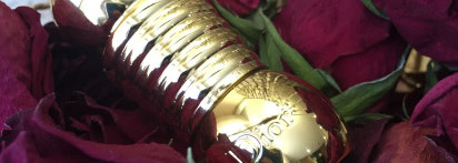 Рождество с Dior. Dior Diorific Mat Velvet Colour Lipstick #880 Fascination