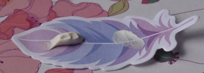 Мой верный товарищ на долгие годы: скраб Clinique Exfoliating Scrub Gommage Tonique (фото до\после)