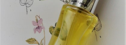 Fialka/Violetta/Violette