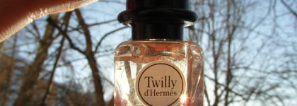 Twilly Hermès: кому имбирных печенек?