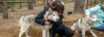 Злой волк в Карелии. Mechant Loup L'Artisan Parfumeur