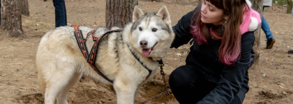 Злой волк в Карелии. Mechant Loup L'Artisan Parfumeur