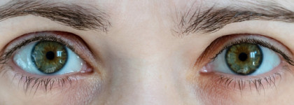 Бэмби-тушь L'Oreal Paris Bambi Oversized Eye Mascara black