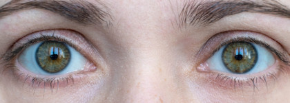 Тушь для ресниц Maybelline Lash Sensational Roses of New York Limited Edition – 08 Пыльный розовый