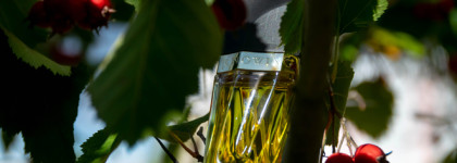 Очень осенний Knowing Estée Lauder