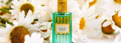 Gucci Mémoire d’une Odeur