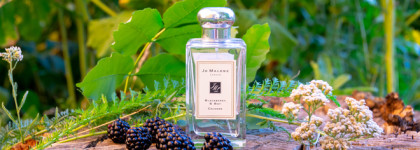 Пряная ежевика Blackberry & Bay Jo Malone Cologne