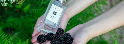 Пряная ежевика Blackberry & Bay Jo Malone Cologne