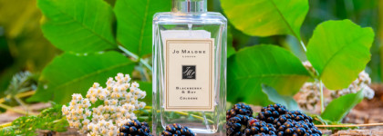 Пряная ежевика Blackberry & Bay Jo Malone Cologne