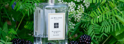 Пряная ежевика Blackberry & Bay Jo Malone Cologne