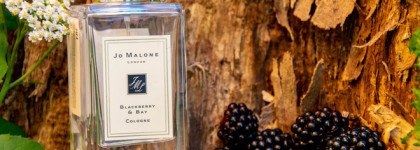 Пряная ежевика Blackberry & Bay Jo Malone Cologne