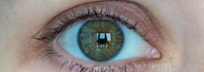 Тушь для ресниц Dior Diorshow Mascara Professionnel Volume Sur-Mesure #090 Pro Black