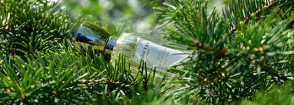 Ода кипарисам Annick Goutal Bois d'Hadrien