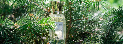 Ода кипарисам Annick Goutal Bois d'Hadrien