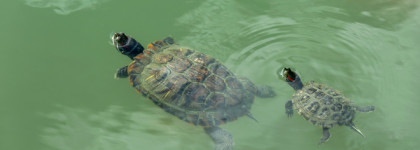 Отпуск и косметичка... которую можно было не брать