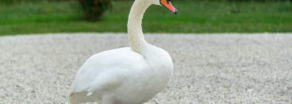 Отпуск и косметичка... которую можно было не брать