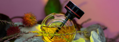 Поцелуй дракона со вкусом амаретто Le Baiser Du Dragon Cartier