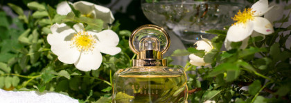 Когда сказала «да». Аромат для невесты Beautiful Belle Estee Lauder