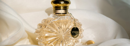 Ароматы на весь год