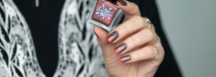 Огонь на кончиках пальцев: Color Flecks Wallcreeper (Краснокрылый Стенолаз)